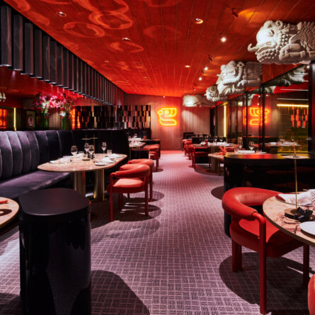 Tantris DNA I Wilson Ortiz (1)