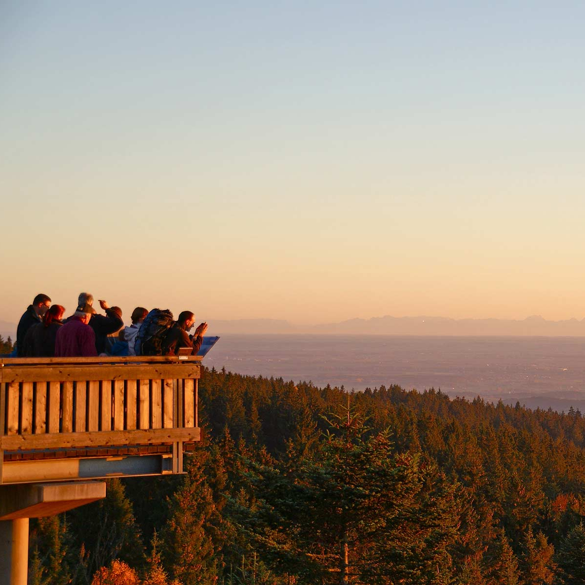 Waldwipfelweg Muenchen (1)