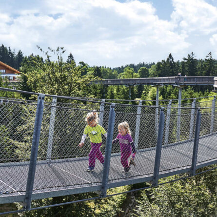 Waldwipfelweg Muenchen (2)