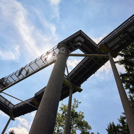 Waldwipfelweg Muenchen (3)