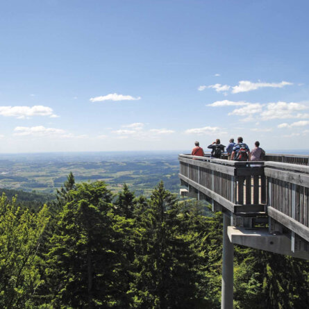 Waldwipfelweg Muenchen