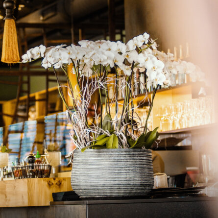 Cochinchina I Photo Lioncut Media Agency (3) - Kopie