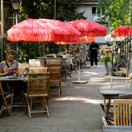 MARS-33-3-Deborah-Derwand