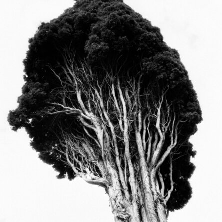 Sara Toussaint „Atto Mancato“ Jahrgang Fuenfzehn Ostkreuzschule fuer Fotografie (1)