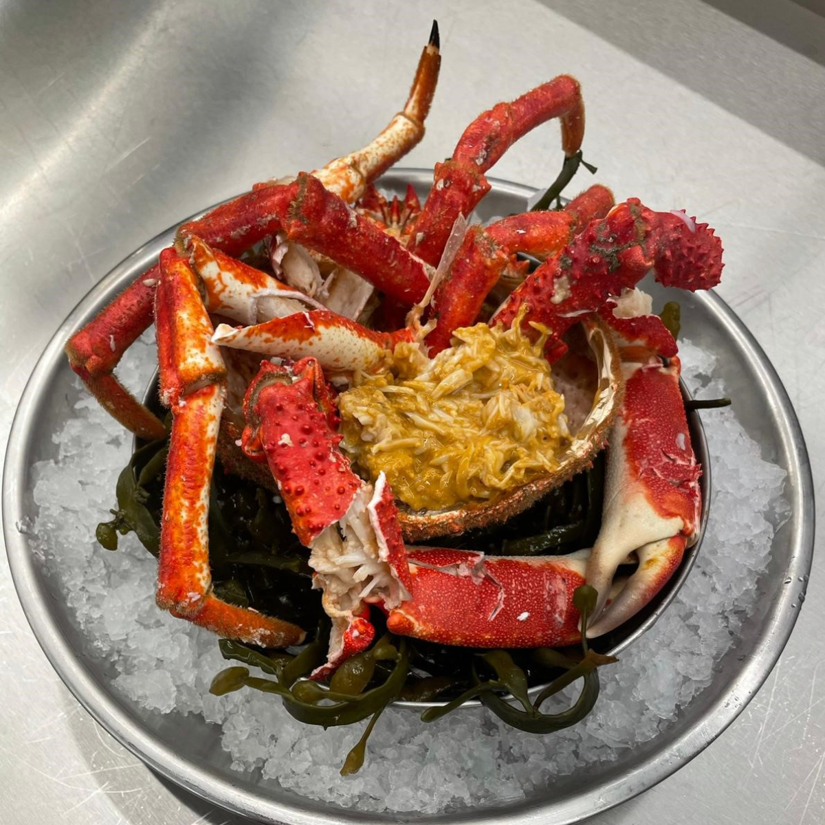 Seespinne - Spider crab - Araignee Fish Klub Summer Residency Berlin
