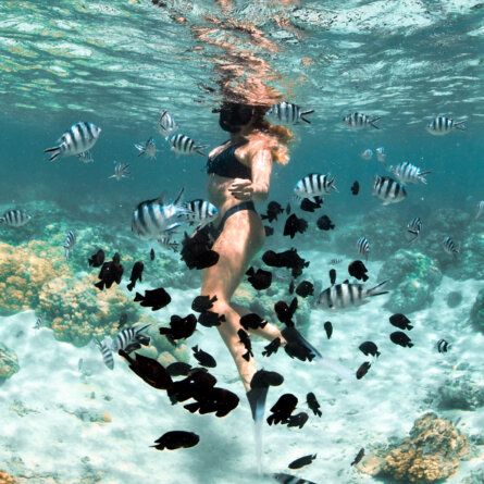 Paradis Beachcomber Golf Resort Mauritius (22)