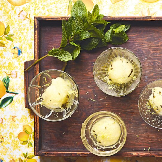 Zitronen-Minze_Sorbet_Limoni