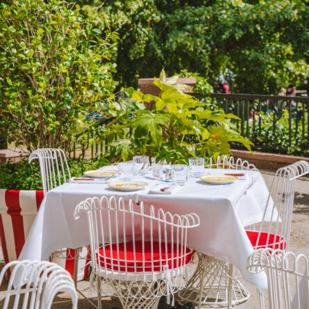 Coccodrillo 15 - credit Joann Pai