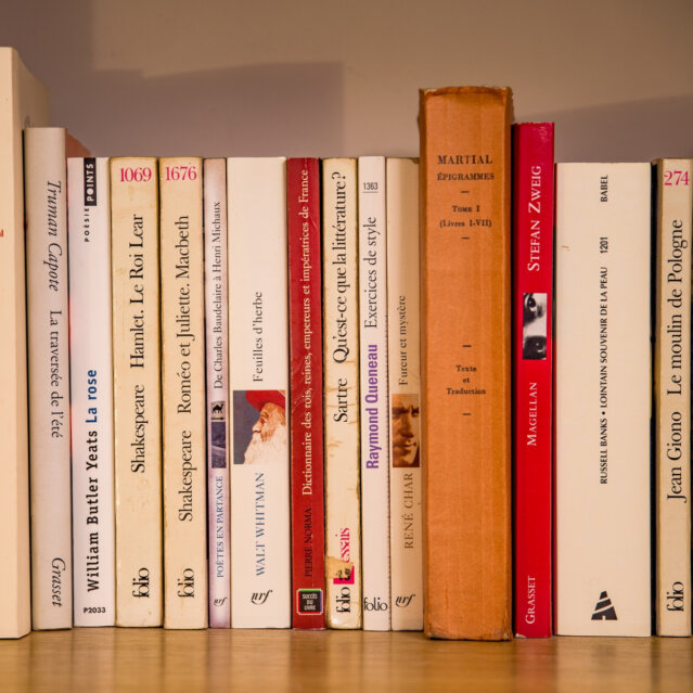 Franzoesische Literatur