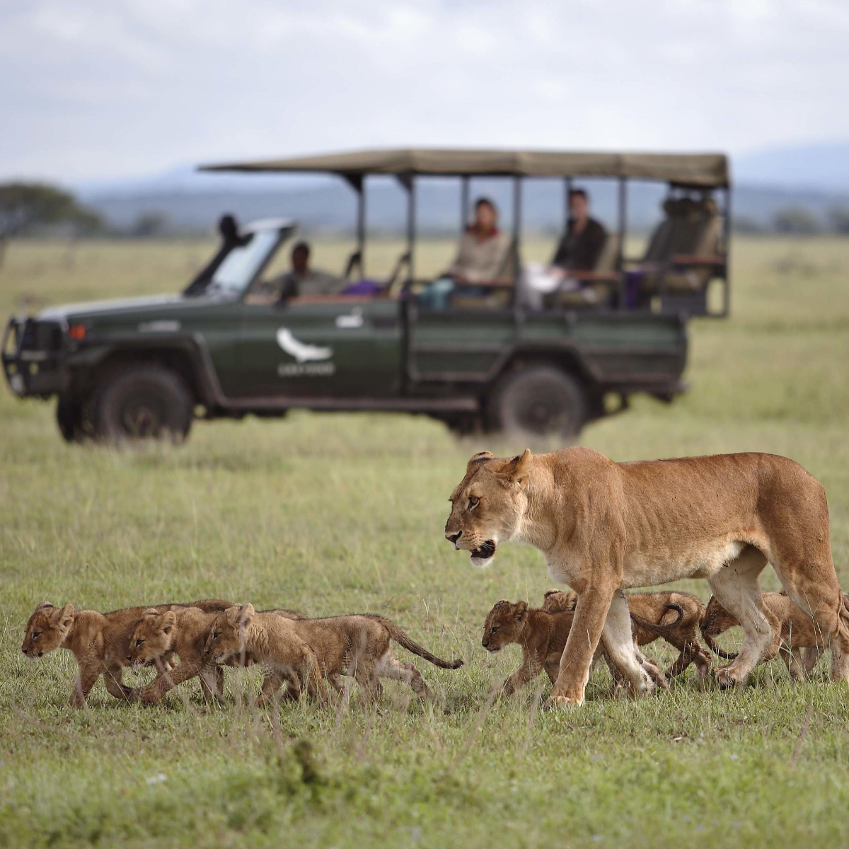 Grumeti Serengeti River Lodge von andBeyond (13)
