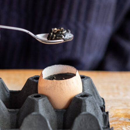 Osteria Zanze XVI Venedig (1)