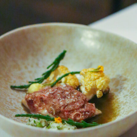 BRIKZ_Stadtmenü_Berlin_Food_Ween_2022_Ole_Zimmermann_4