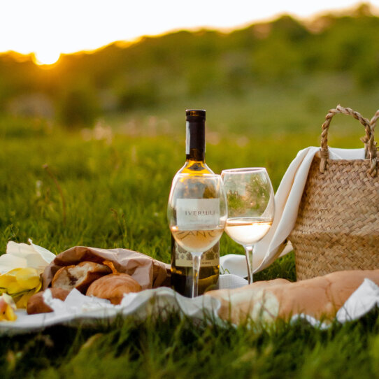 Picknick-kateryna-hliznitsova-1RWOsCxqe0k-unsplash Picknick-kateryna-hliznitsova-1RWOsCxqe0k-unsplash