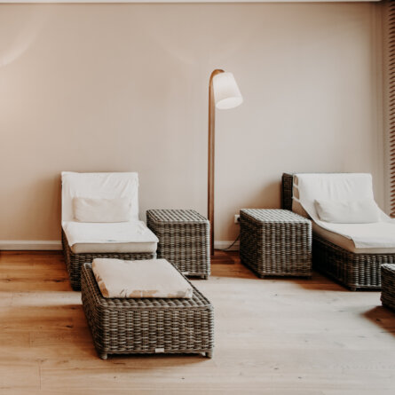 Wellness- & Genusshotel Der Eisvogel (3)