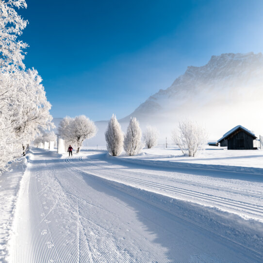 Ausblicke-im-Moos-Tiroler-zugspitz-Arena_Tiroler-Zugspitz-Arena_Frozenlights-Tiroler-Zugspitz-Arena-