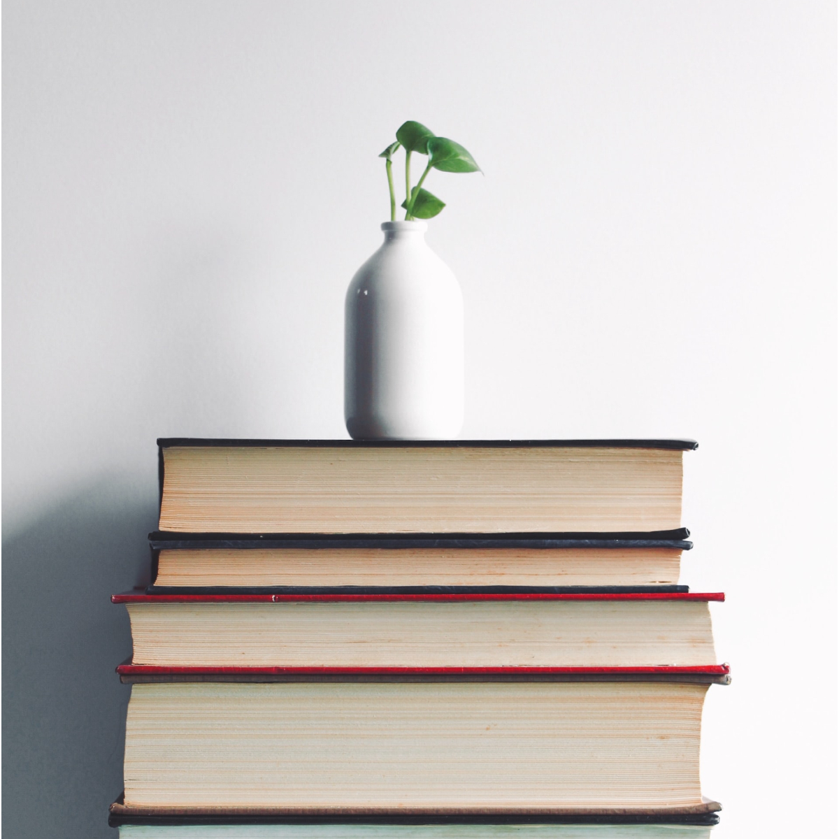 Buecher I Photo by elnaz asadi on Unsplash