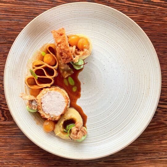 perlhuhn oben_c_Viktoria Fahringer