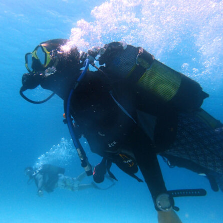 Scuba Diving I andBeyond Mnemba Island