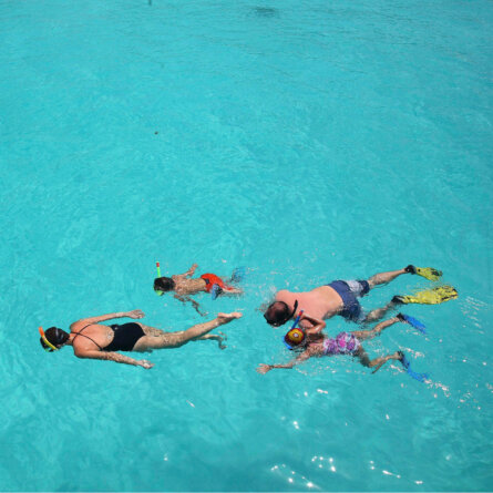 Snorkelling I andBeyond Mnemba Island