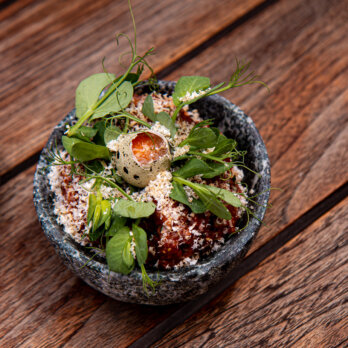 The_Lonely_Broccoli_Vorspeise_Signature TLB Tatar_01 The_Lonely_Broccoli_Vorspeise_Signature TLB Tatar_01