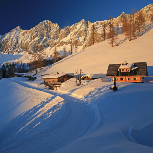 Brandalm (c) Herbert Raffalt