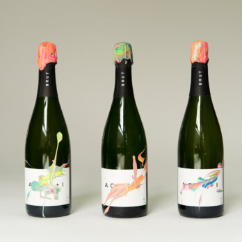 capture_acht+1_0276 (1)-2 capture_acht+1_0276 (1)-2