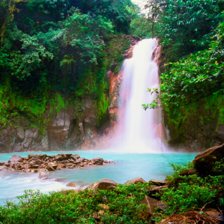 Costa Rica Dschungel I Sea Cloud