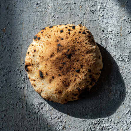 Elevant_Leopard Pita