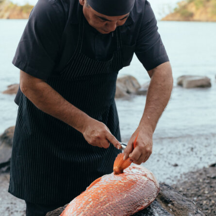Islas Secas im Golf von Chiriqu (1)