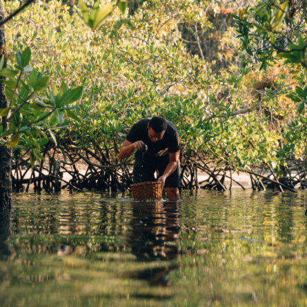 Islas Secas im Golf von Chiriqu (6)