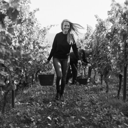 JUWEL Juliane Eller Weine Weinberg Ernte Peter Bender (1)-2