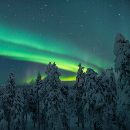 Octola Wilderness Lodge (24)