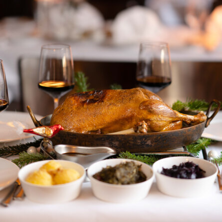 Ganymed_Gans_©SelinaSchrader-2