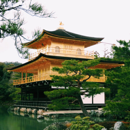 Japan I Photo by silversea on Unsplash I Goldene Pavillon Kinkakuji