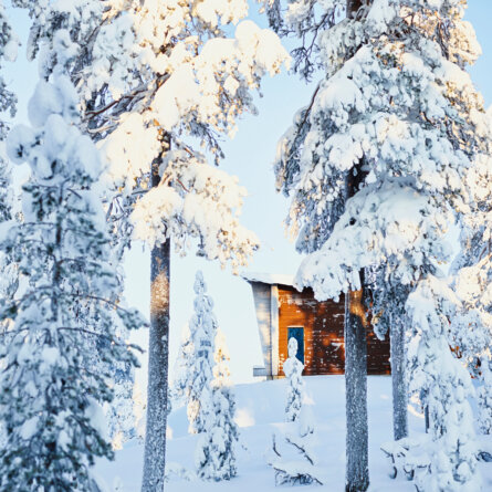 Octola Wilderness Lodge (14)