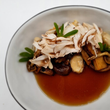 04_Gang 04_PilzMuschel_02_2023-01-03-2