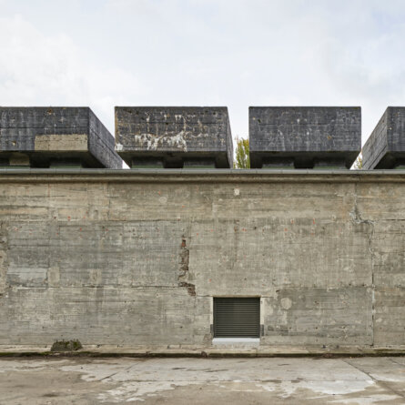 Photo_ The Feuerle Collection