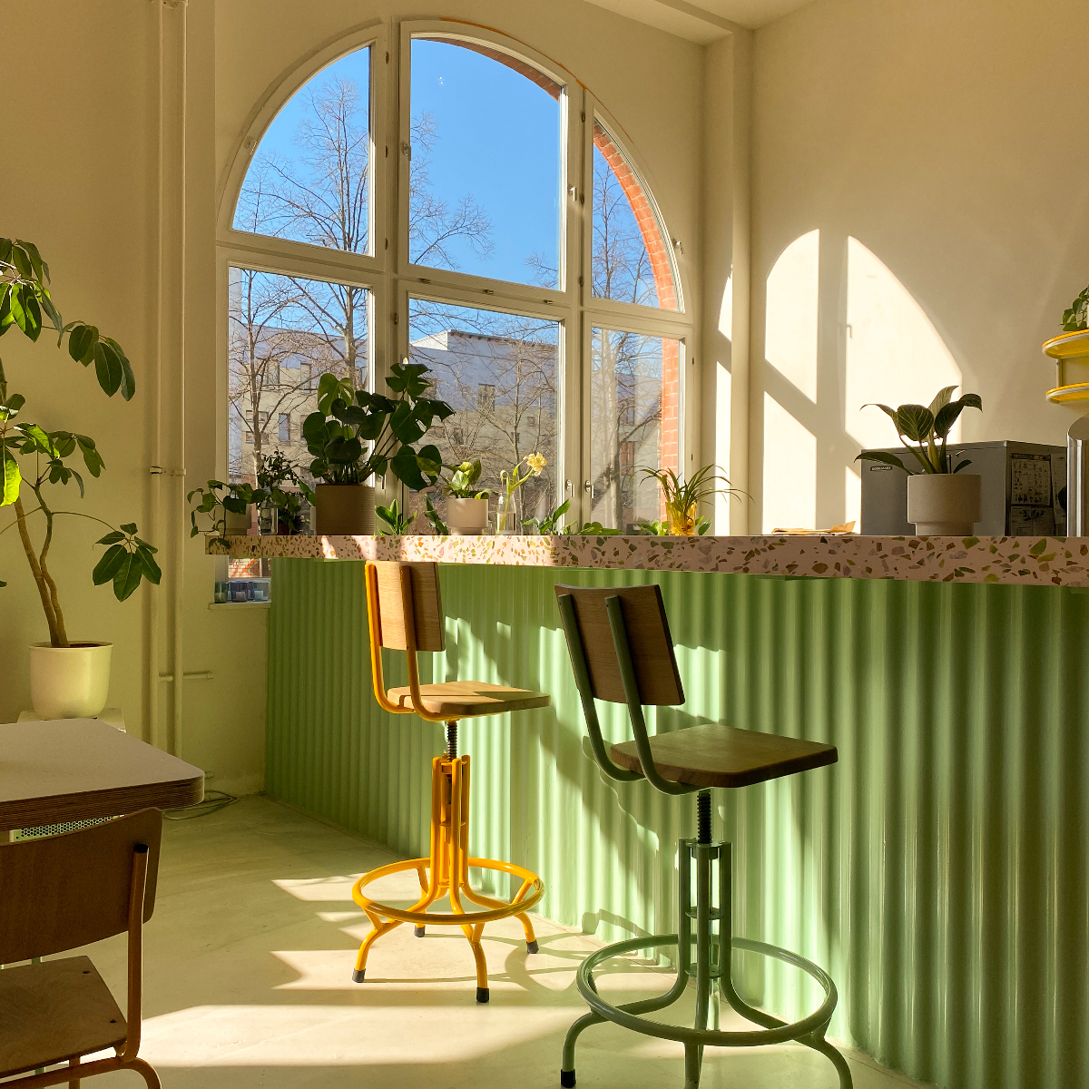 Blumental I Foto Alessa Flemming (3)