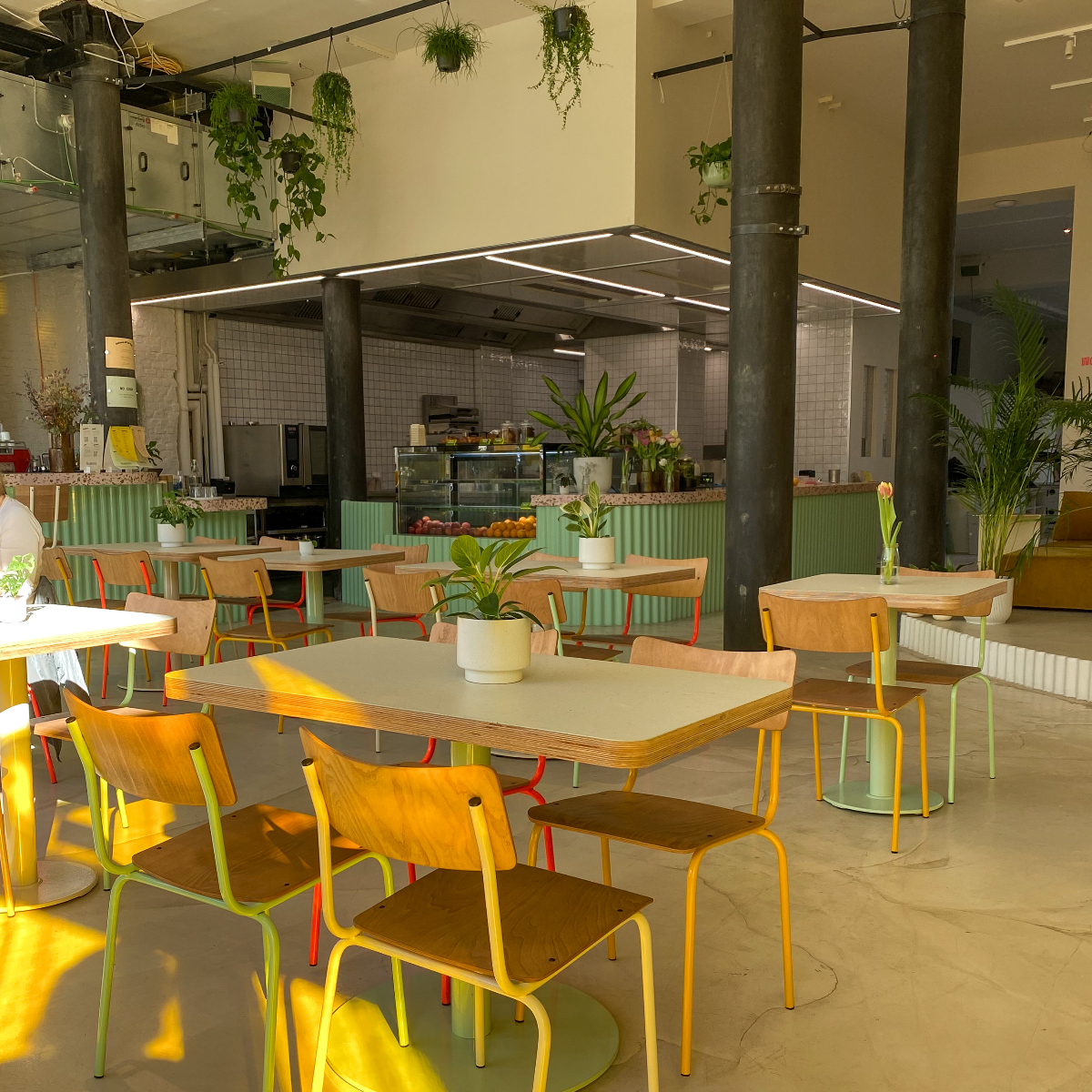 Blumental I Foto Alessa Flemming (4)