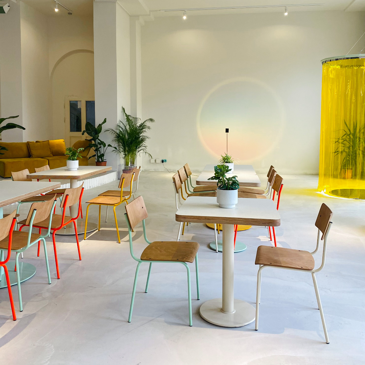 Blumental I Foto Alessa Flemming (8)