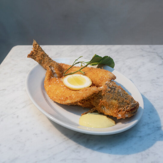 C.O.P. I Golden Sea Bass I © Jana Perusich