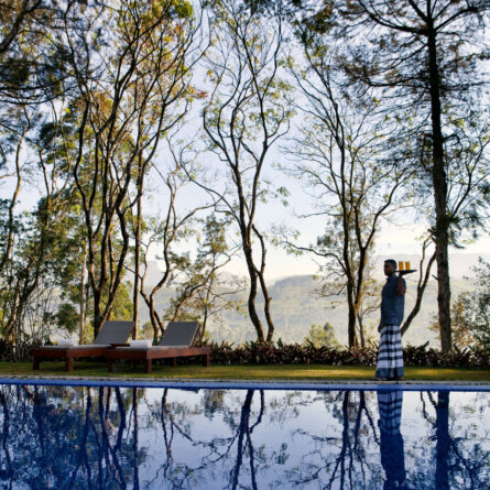 Ceylon Tea Trails (50)