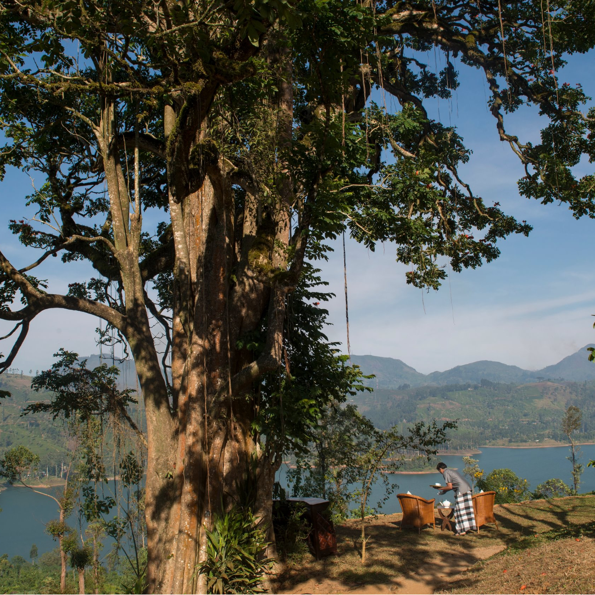 Ceylon Tea Trails (53)