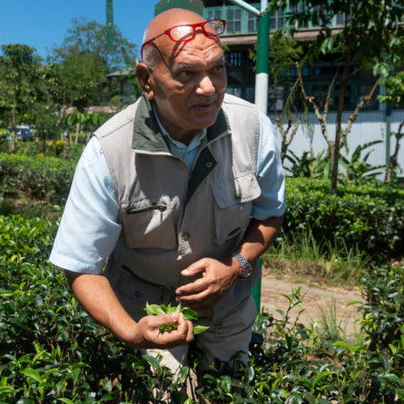 Ceylon Tea Trails (72)