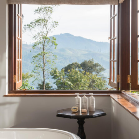 Ceylon Tea Trails (80)