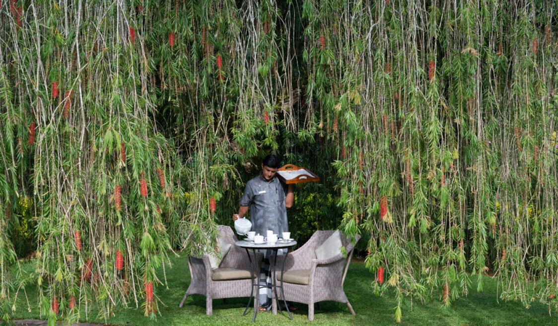 Ceylon Tea Trails (86)