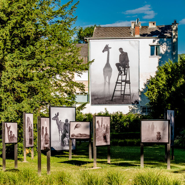 Baden bei Wien I Foto Wolfgang Spekner