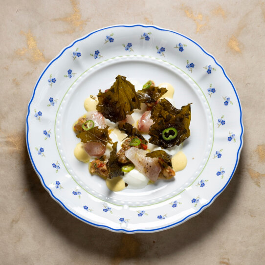 Berta (c) Joerg Lehmann (6)