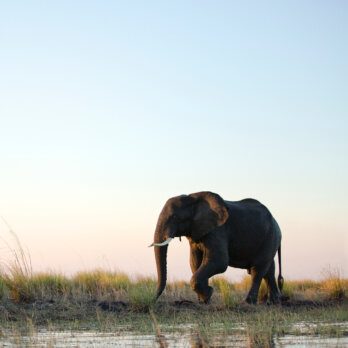 Foto von Sammy Wong auf Unsplash Foto von Sammy Wong auf Unsplash