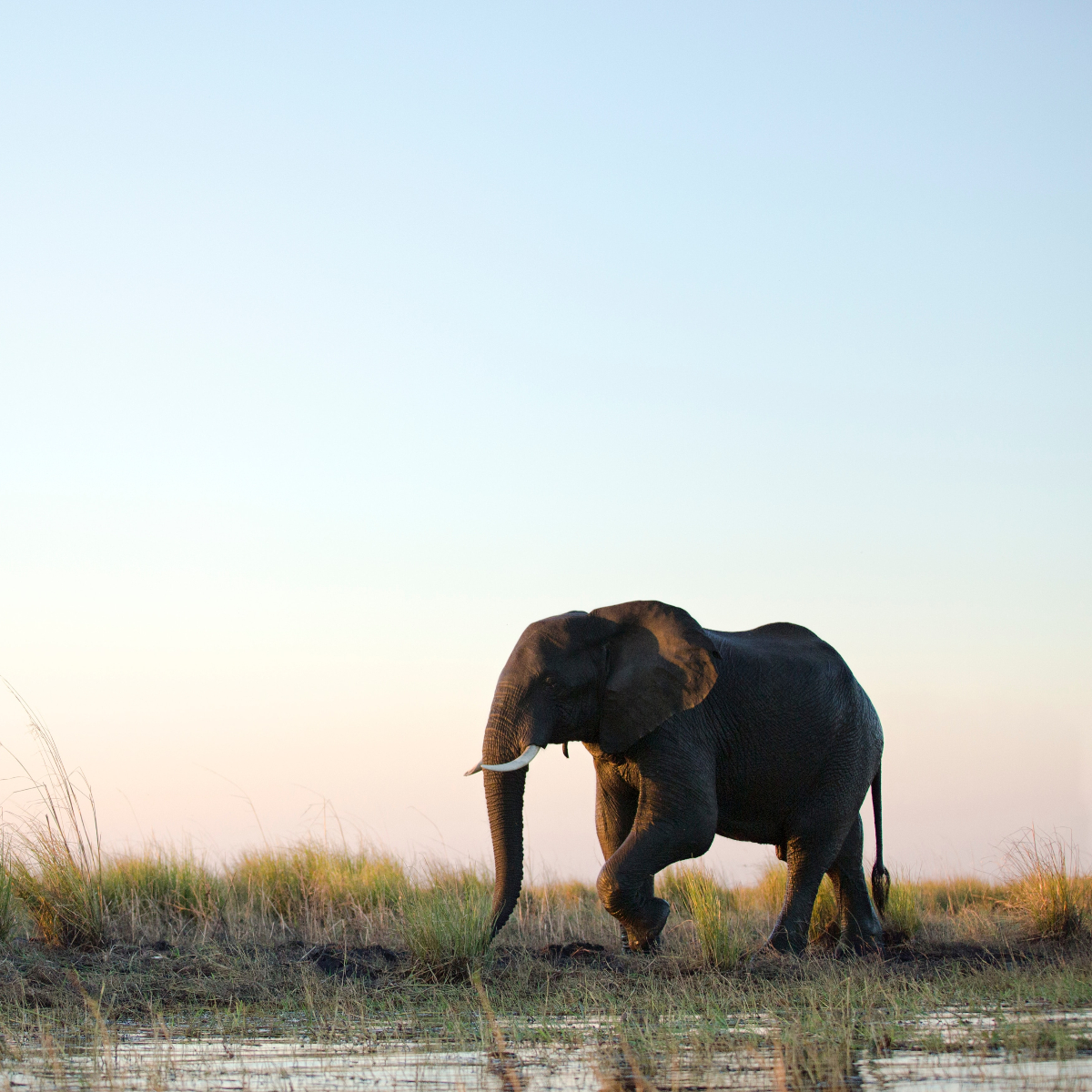 Foto von Sammy Wong auf Unsplash
